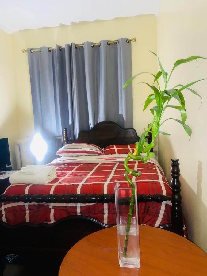 Cozy Comfort In Brooklyn New York Luaran gambar